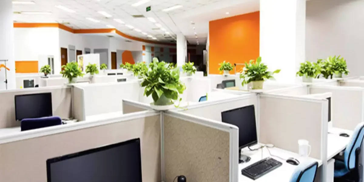 large-corporate-workstation